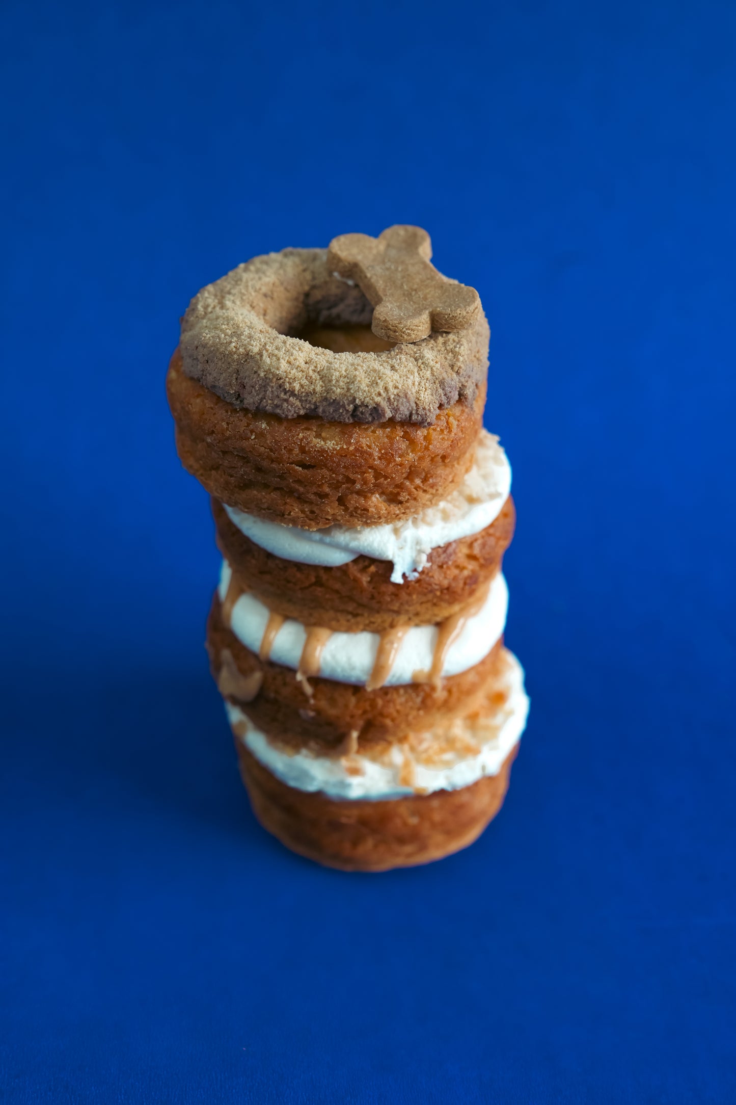 Do(g)nuts