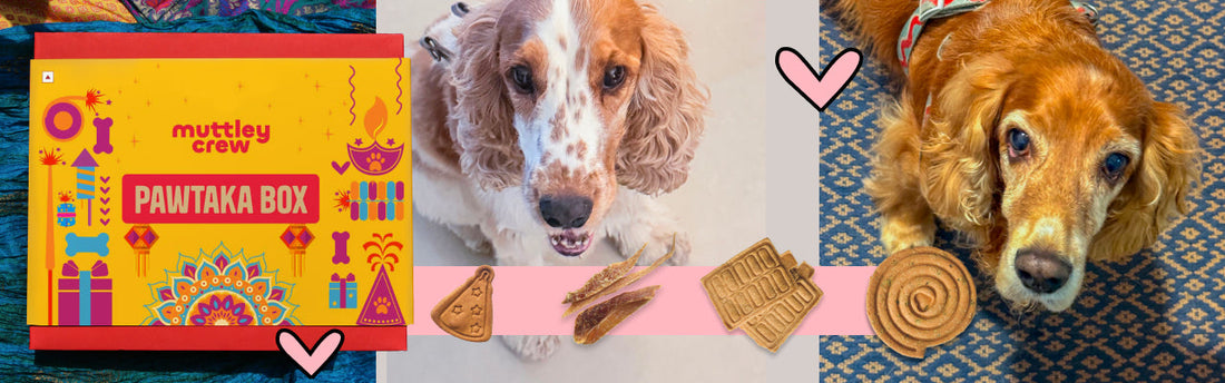 Best dog food in India