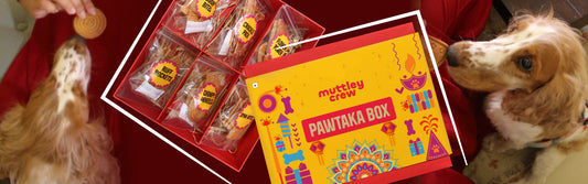 Your Dog Is Part of Diwali. Give Them a Celebration They Can Eat.
