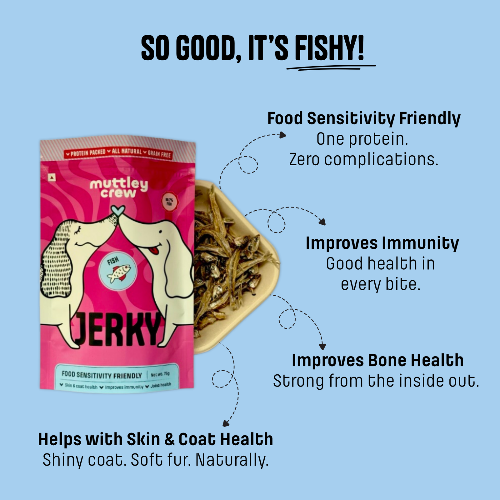 Fish Jerky