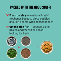 Fish & Parsley Biscuit