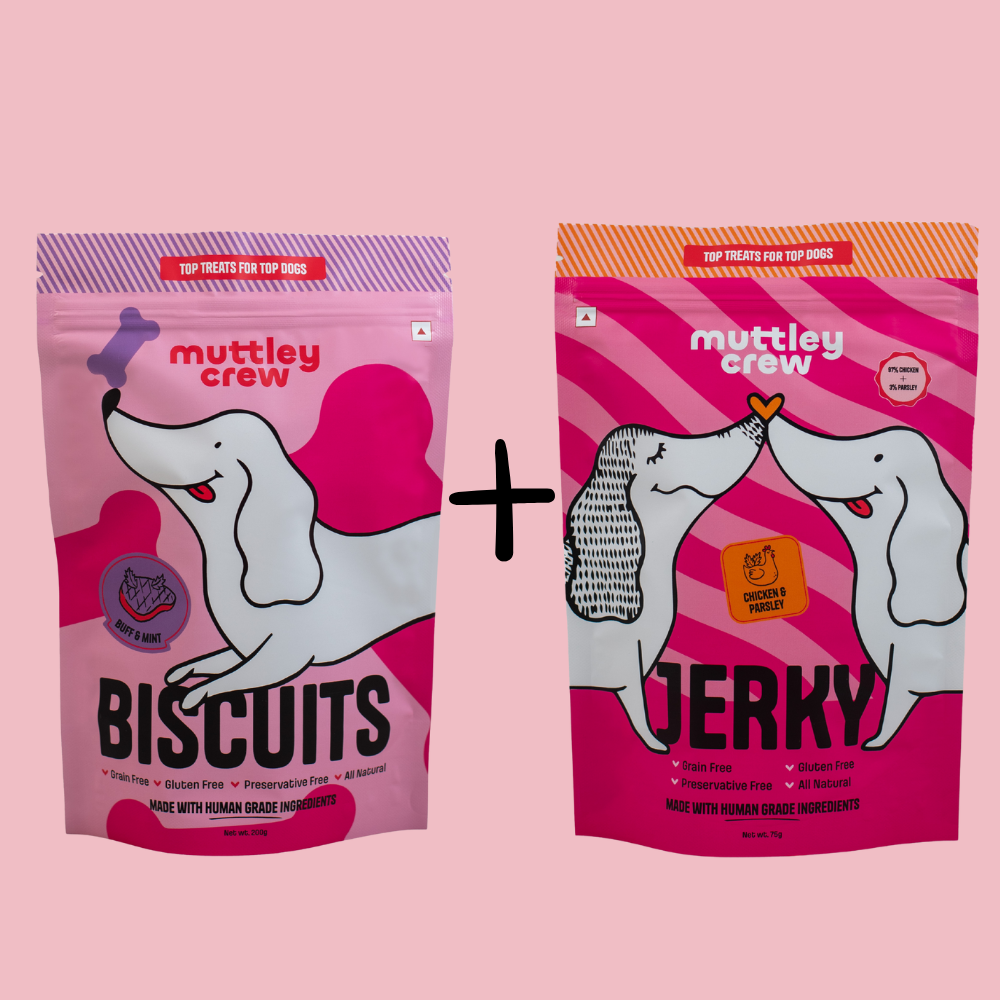 The Fresh Fix - Buff & Mint Biscuits + Chicken & Parsley Jerky