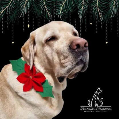 The Merry Woofmas Box