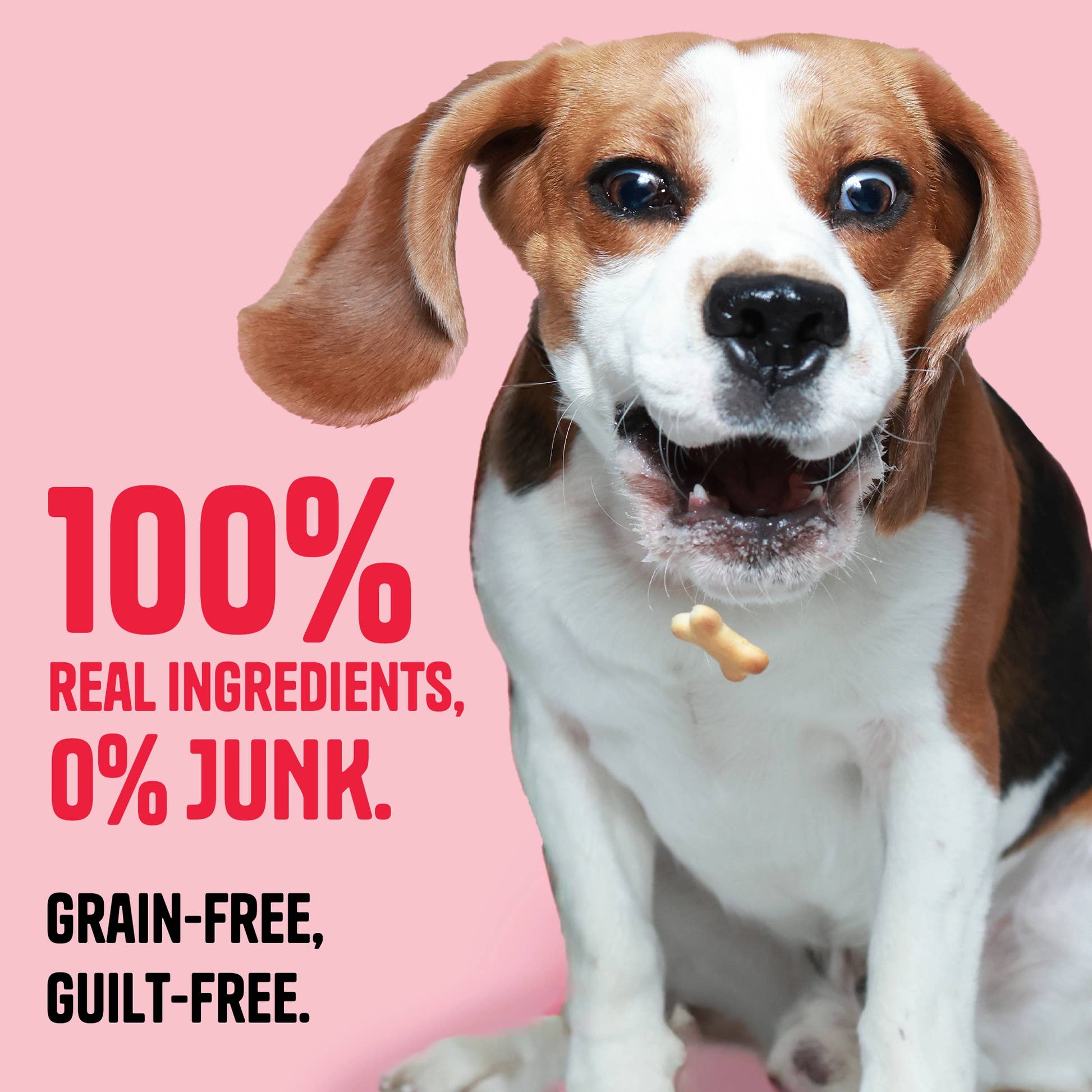 Buff & Mint Biscuits - Muttley Crew Pet Treats Private Limited