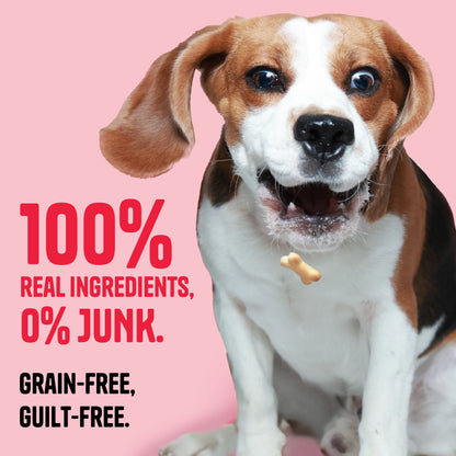 Chicken & Peanut Butter Biscuits - Muttley Crew Pet Treats Private Limited