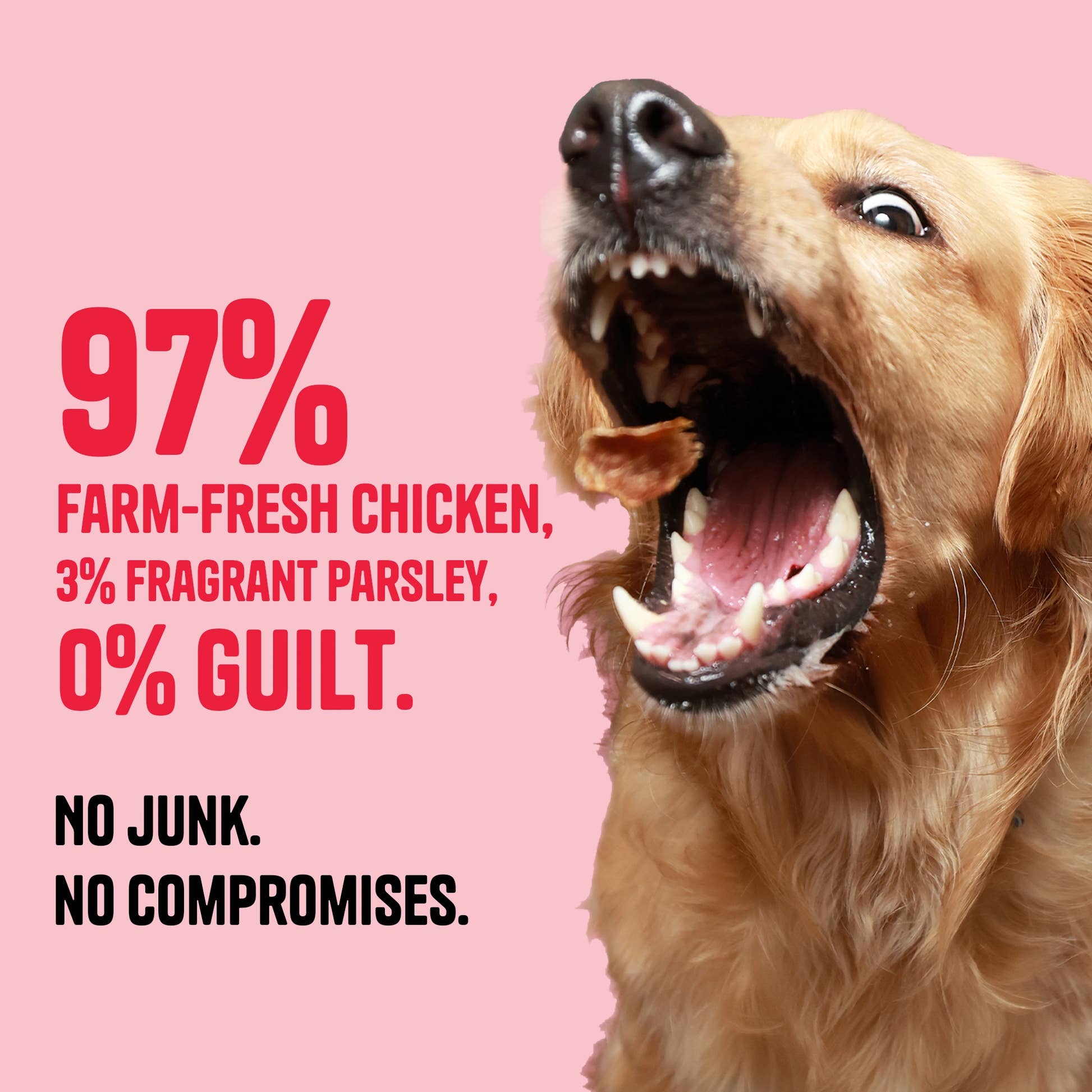 Chicken & Parsley Jerky - Muttley Crew Pet Treats Private Limited