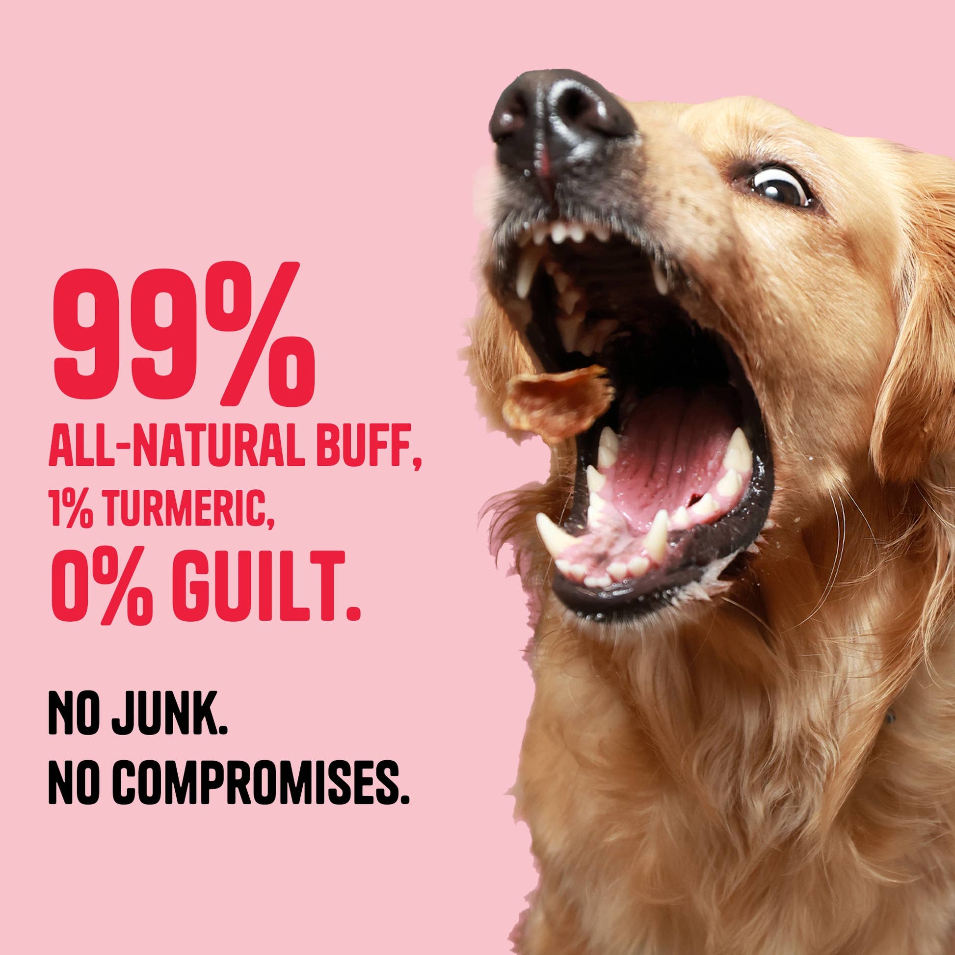 Buff & Turmeric Jerky - Muttley Crew Pet Treats Private Limited