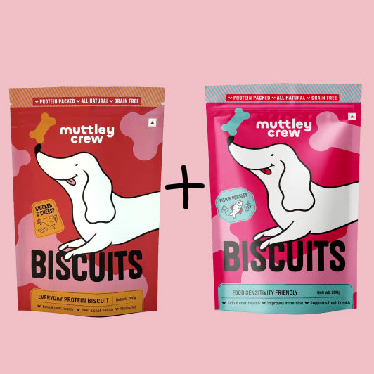 The Fish & Chicks Club-Fish & Parsley Biscuits + Chicken & Cheese Biscuits