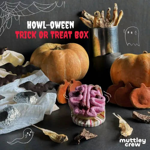The Muttley Crew Howl-oween Treat Box - Bangalore Only