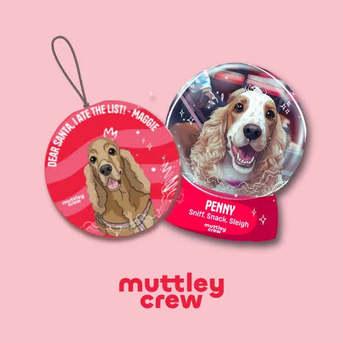 The Merry Woofmas Box