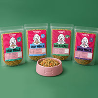 best dog food for your dog
