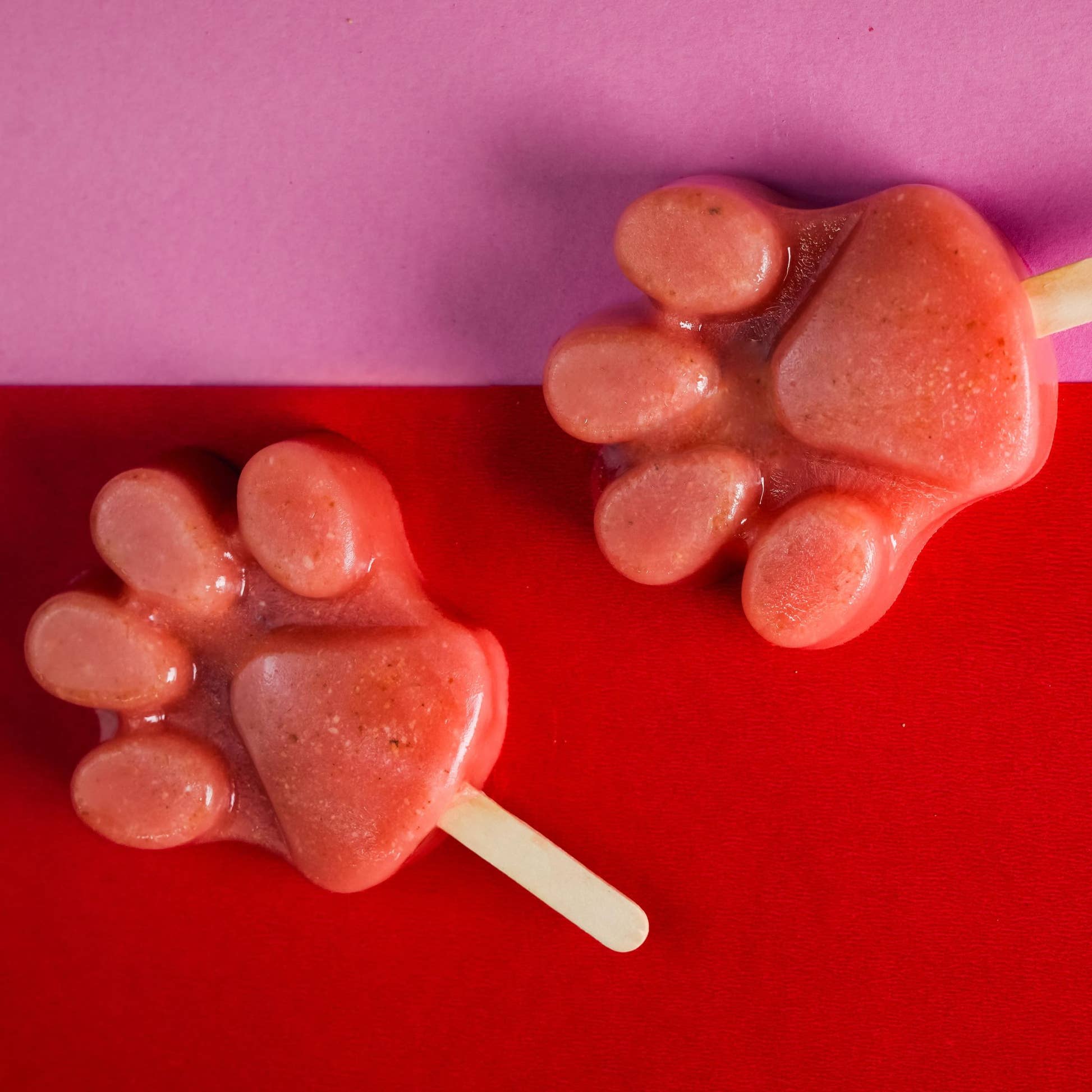 Watermelon & Coconut Pawsicle