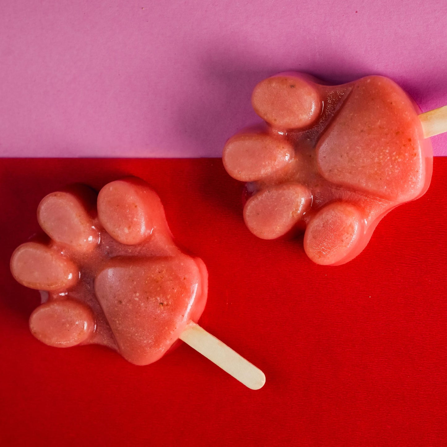 Watermelon & Coconut Pawsicle