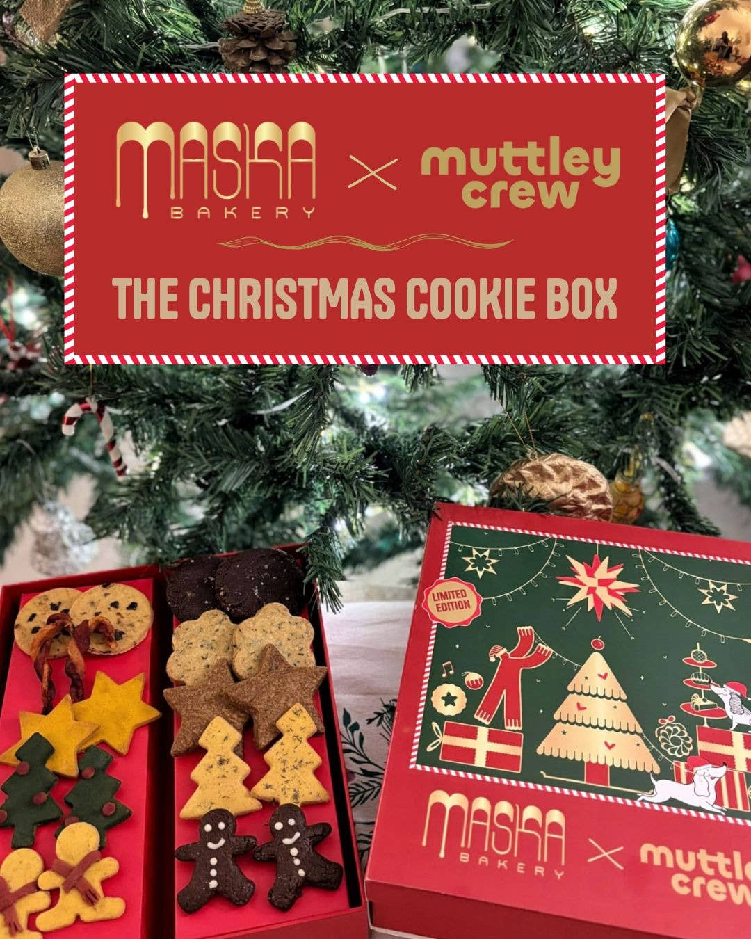 Maska Bakery x Muttley Crew