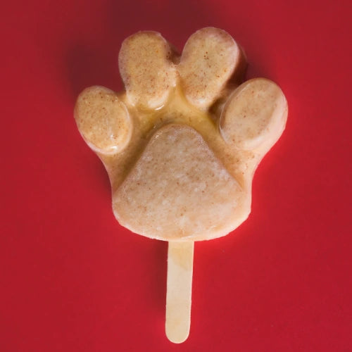 Creamy Chicken Brothsicle