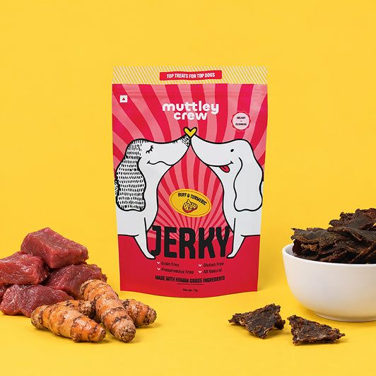 best dog food for your dog