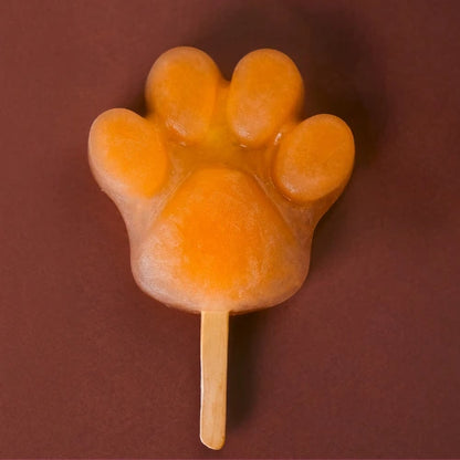 Chicken & Carrot Brothsicle