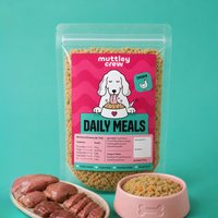 best fresh food for dogs