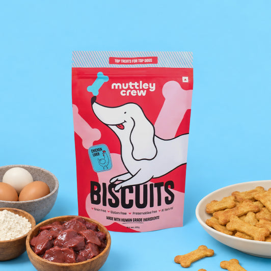 the best fresh dog food