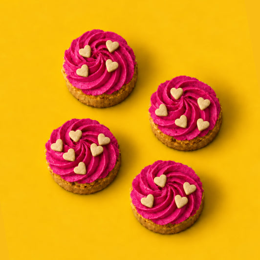 Chicken & Pumpkin Cake Mix for Dogs
