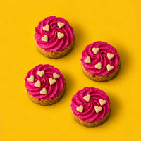 Chicken & Pumpkin Cake Mix for Dogs