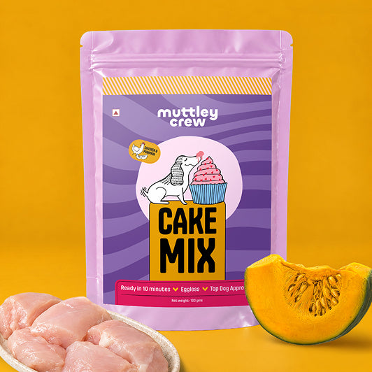 Chicken & Pumpkin Cake Mix for Dogs