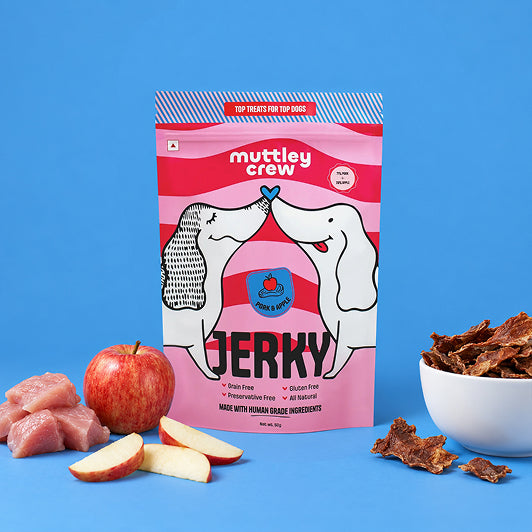 the best fresh dog food