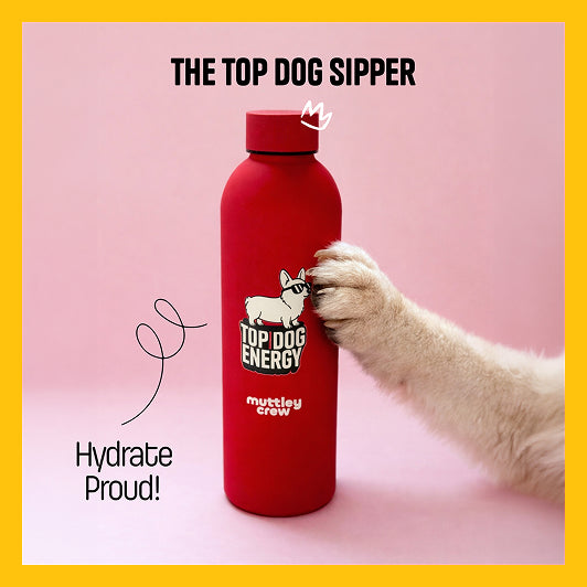 The Top Dog Sipper | 500 ml