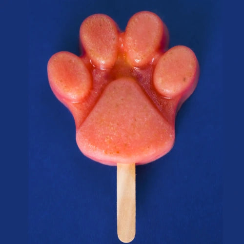 Watermelon & Coconut Pawsicle
